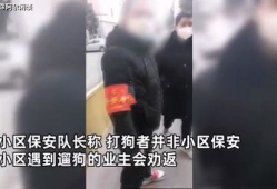 打狗视频,打狗视频引发道德争议